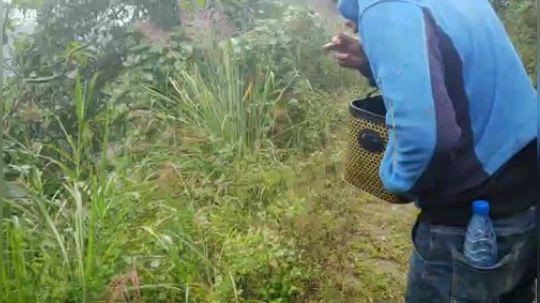 生活第二天，自制蒸笼。 2018-10-13 15点场