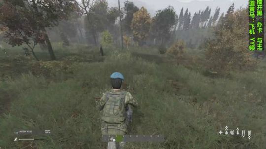 这个游戏叫dayz(僵尸末日） 2018-10-13 09点场