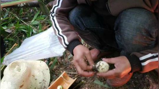 户外生活第三天。 2018-10-14 08点场