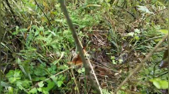 户外生活第三天。 2018-10-14 10点场