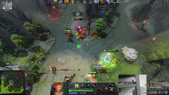 Shadow直播间：猫主播已上线！ 2018-10-14 09点场