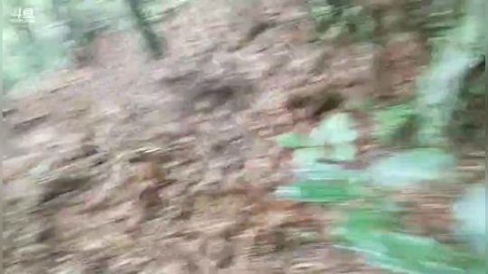 户外生活第三天。 2018-10-14 10点场