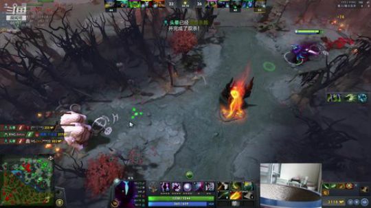 Shadow直播间：猫主播已上线！ 2018-10-15 14点场