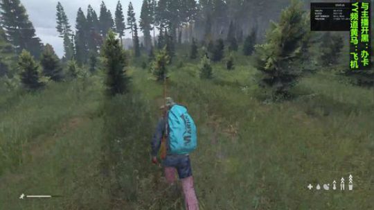 这个游戏叫dayz(僵尸末日） 2018-10-14 17点场