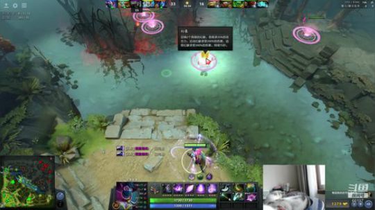 Shadow直播间：猫主播已上线！ 2018-10-15 10点场