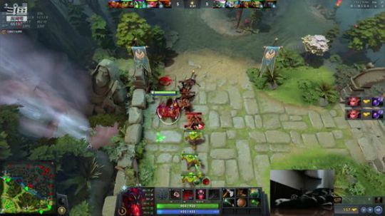 Shadow直播间：猫主播已上线！ 2018-10-17 14点场