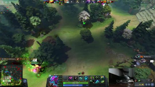 Shadow直播间：猫主播已上线！ 2018-10-17 12点场