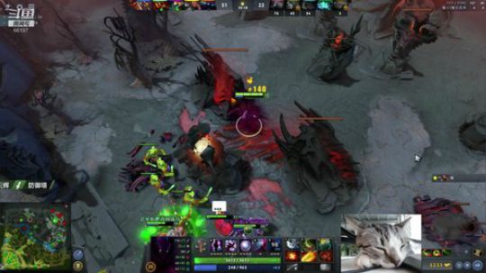 Shadow直播间：猫主播已上线！ 2018-10-17 10点场