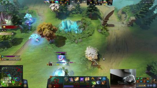 Shadow直播间：猫主播已上线！ 2018-10-17 16点场