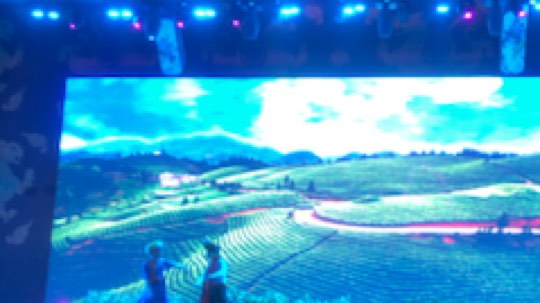 刘啊四姐哎，你干啥子嘛