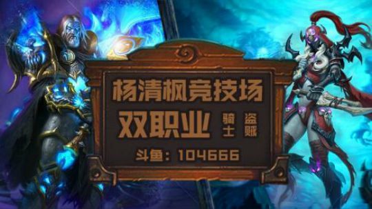 双职业竞技场 骑贼9胜