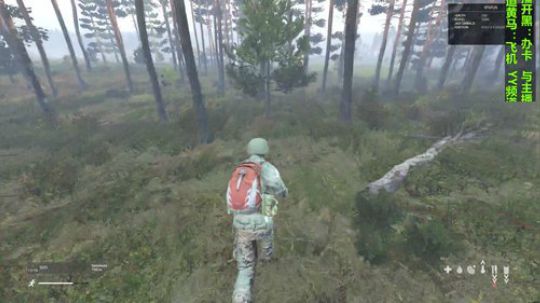 这个游戏叫dayz(僵尸末日） 2018-10-18 16点场