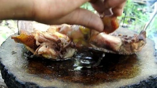 【荒野戏精】~石板鸡腿~baji~baji~