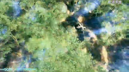 最近比较忙，比较忙、 2018-10-12 20点场