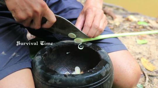 【荒野美食】鳄鱼：你能不能温柔点！