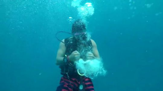 【露营烹饪】潜水后的碳烤毛缘扇虾