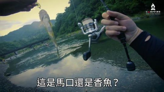 【Campfire营火部落】北部、坪林，野營 x 路亞釣魚