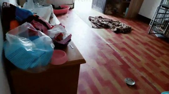 义工结束去恰晚饭咯！ 2018-10-20 14点场