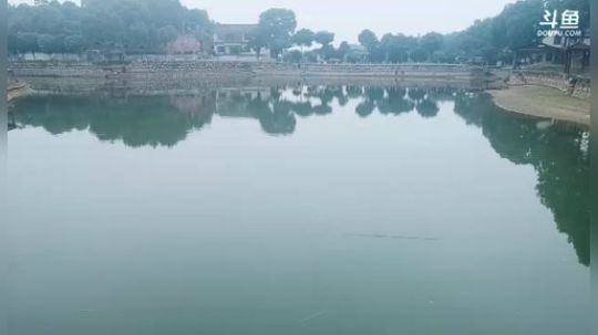 聊上那么一聊， 2018-10-22 16点场