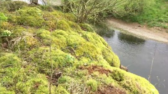 【野外生存】兄弟俩野外建造自己的小房屋，再烤两个羊腿~