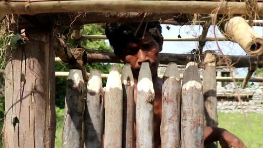 原始生存工具：用木头和泥巴建一个兔窝