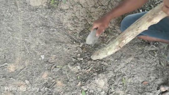 『原始的日常生活』在田野里建造原始的树屋.