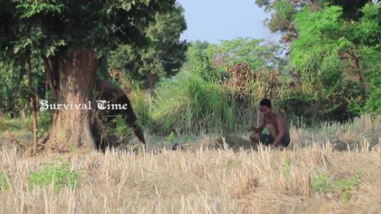 【荒野美食】天然美食，为了吃，无所畏惧