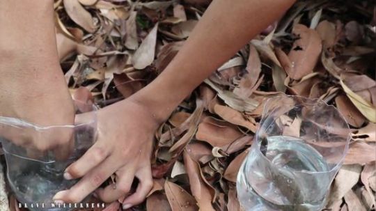 【荒野美食】：吃水蛭生存技术勇敢的荒野