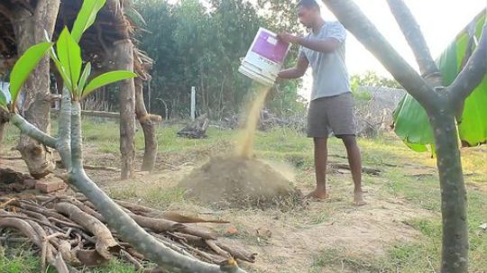 原始的生活 不服越南小哥 黑人小哥徒手建霍比特人风格小屋