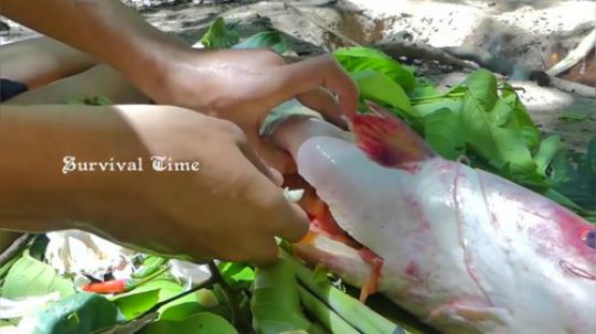 【原始技术】——烹饪烤大鱼