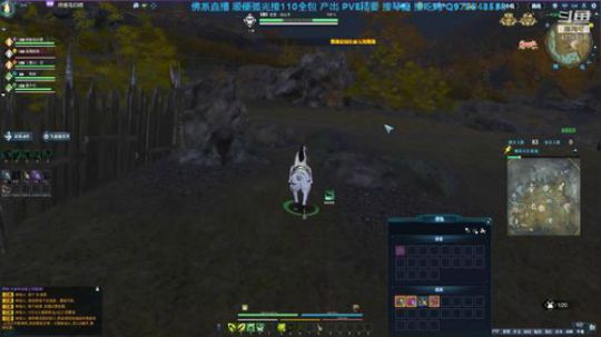 弧光鸽王小白馬 2018-10-24 21点场