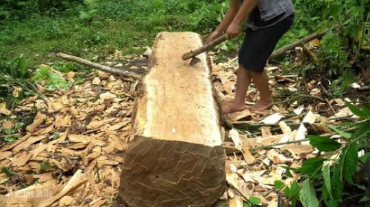 基本原始技能：如何收割水稻 工具制作