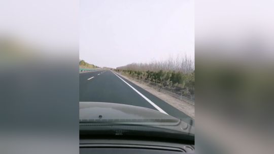 黑猫警长！