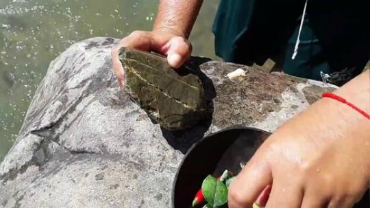 【荒野虫叔】~大碗煮大鱼~耶~