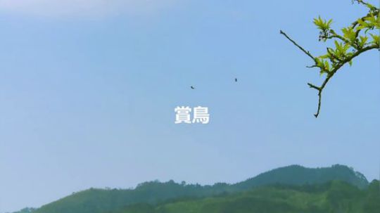 【Campfire营火部落】露营难道都在放空嗎？