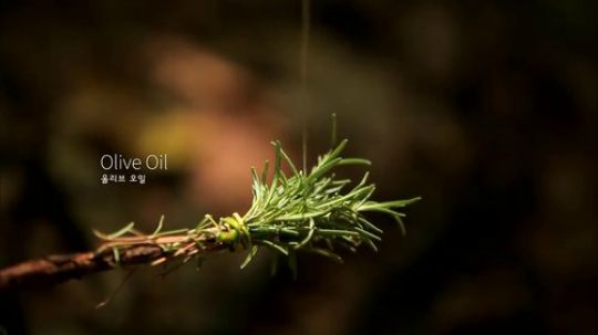 【露营烹饪】露营炊具煎石板牛排