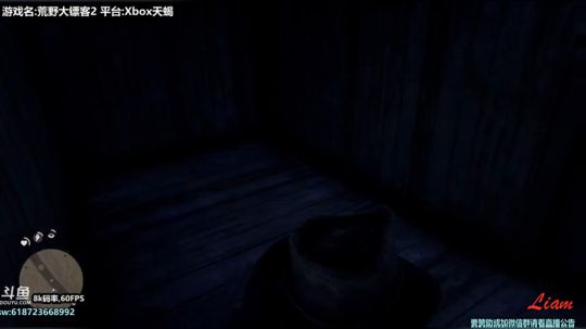 Liam:Xbox天蝎【荒野大镖客2】P2