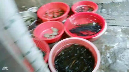 等朵一顺便采购点东西 2018-10-26 11点场