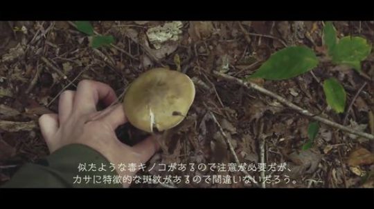 寻觅野生蘑菇做个美味汉堡.