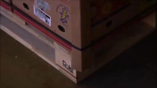 【标题党】你们吃的香蕉，是这样来的，你知道吗？