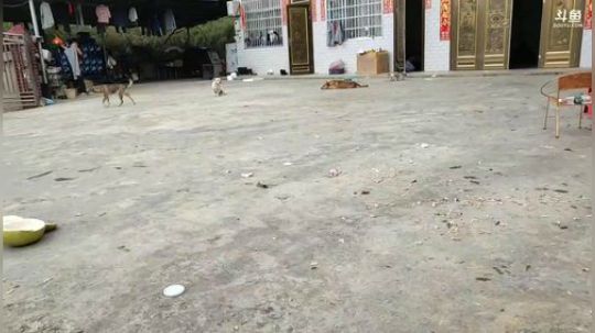 雨中等你666发布了一个斗鱼视频2018-10-27