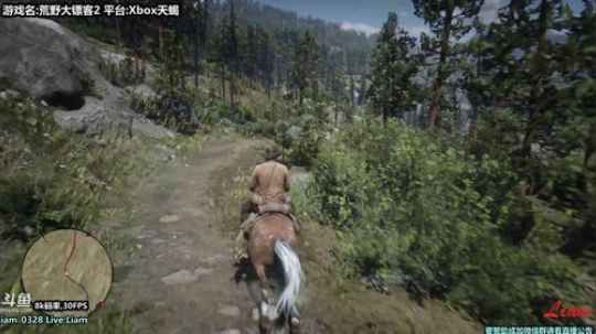 Liam:Xbox天蝎【荒野大镖客2】P5