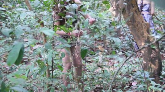 【原始生活体验】 两个女人挖掘食物的根