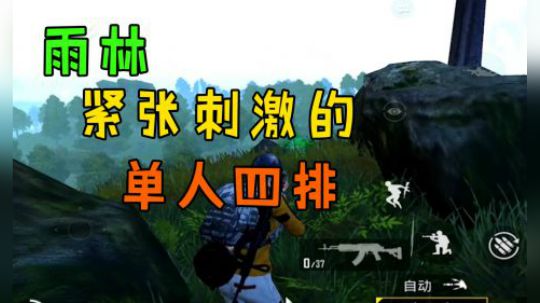 紧张又刺激的雨林单人四排，20淘汰吃鸡