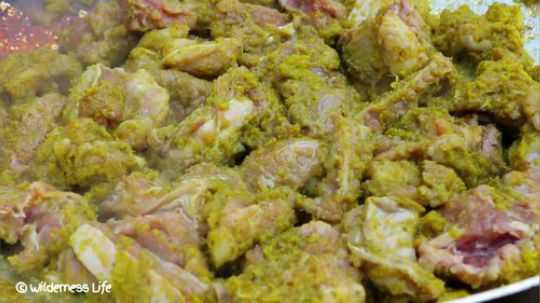 【荒野美食】酸甜口味的牛肉汤想着就流口水