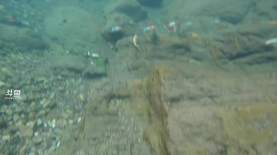 我在斗鱼看野食小哥直播美食