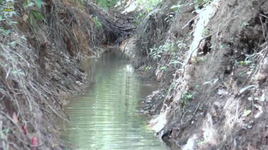 【原始生活体验】两个女孩捕鱼用毛1