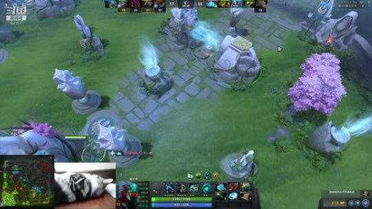 Shadow直播间：开心周末！ 2018-10-28 11点场