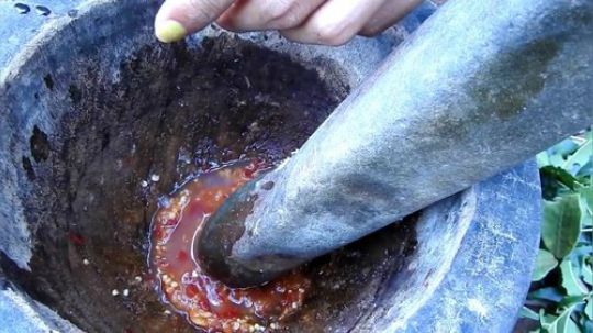 【荒野小姐姐】~野生小姐姐~烤鱼配黄瓜~