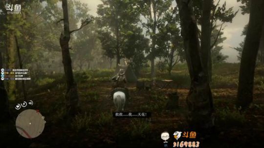 荒野大镖客2 P16